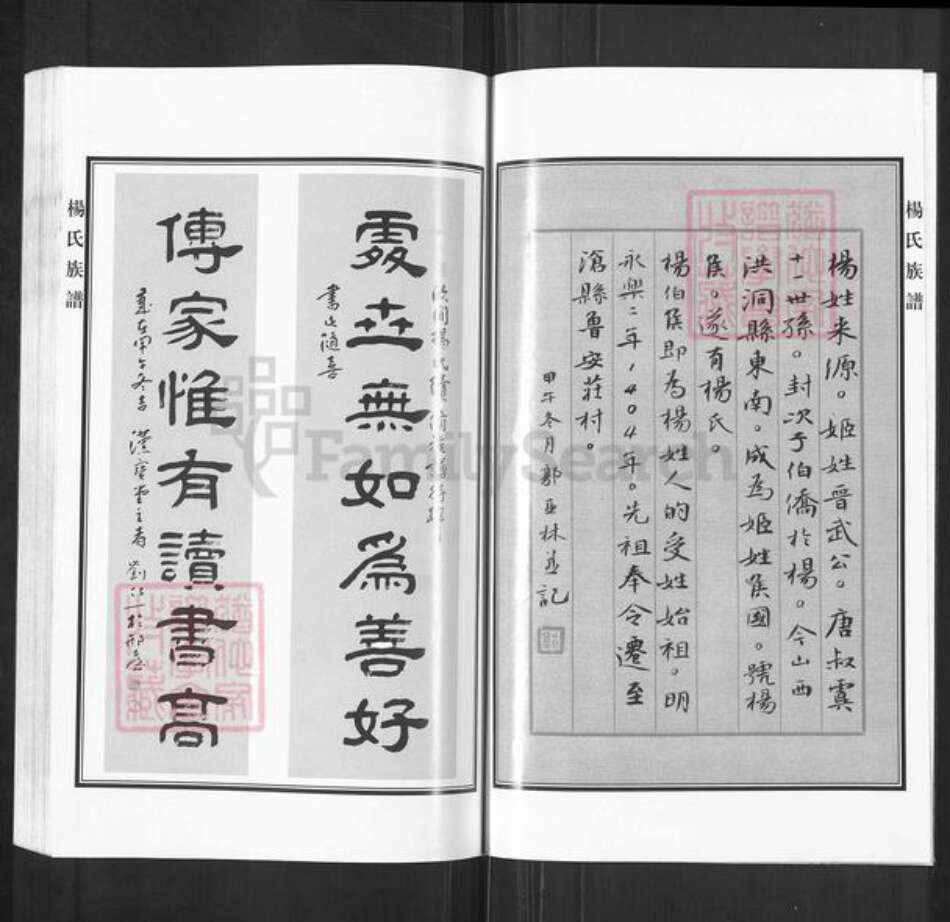 河北省沧州沧县崔尔庄镇杨氏族谱-杨氏家谱.pdf电子版预览图2