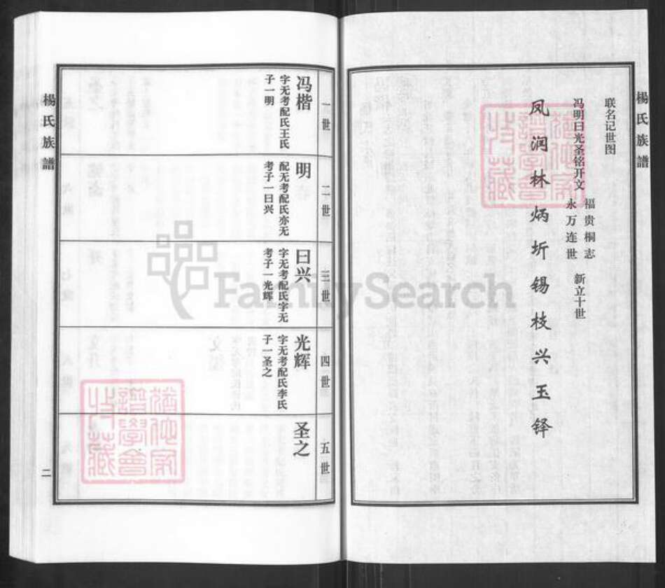 河北省沧州沧县崔尔庄镇杨氏族谱-杨氏家谱.pdf电子版预览图4