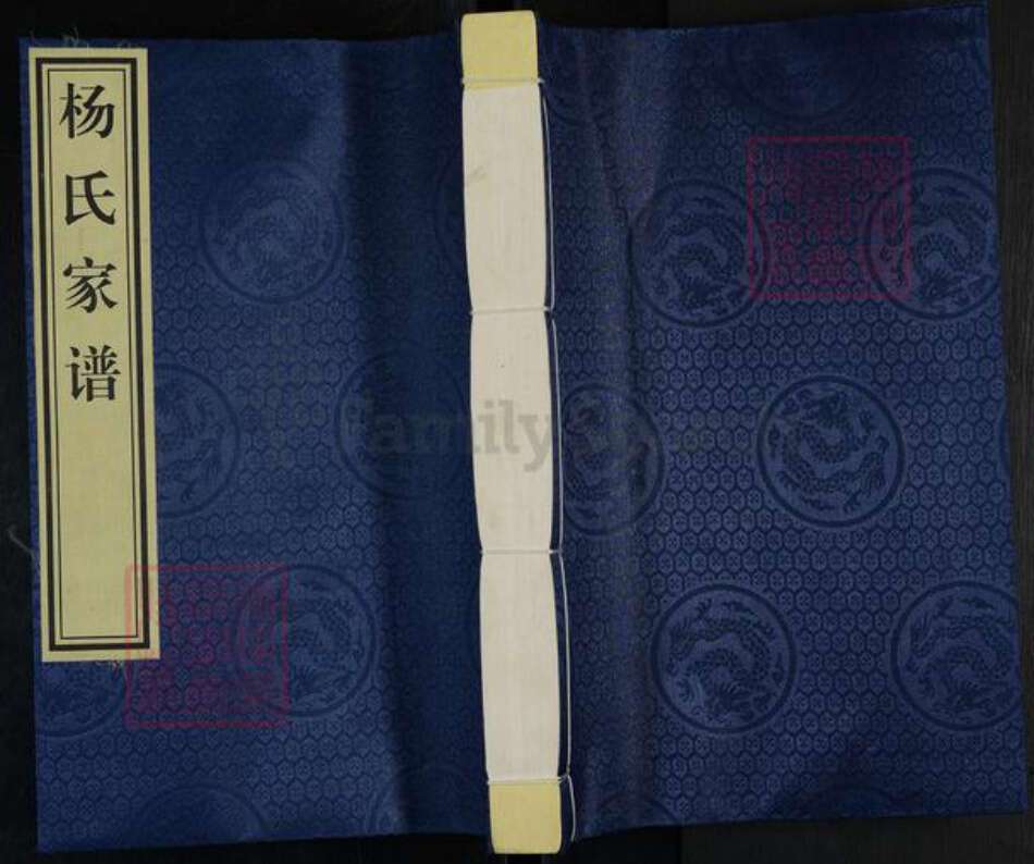 河北省沧州杨氏族谱-杨氏家谱.pdf电子版缩略图