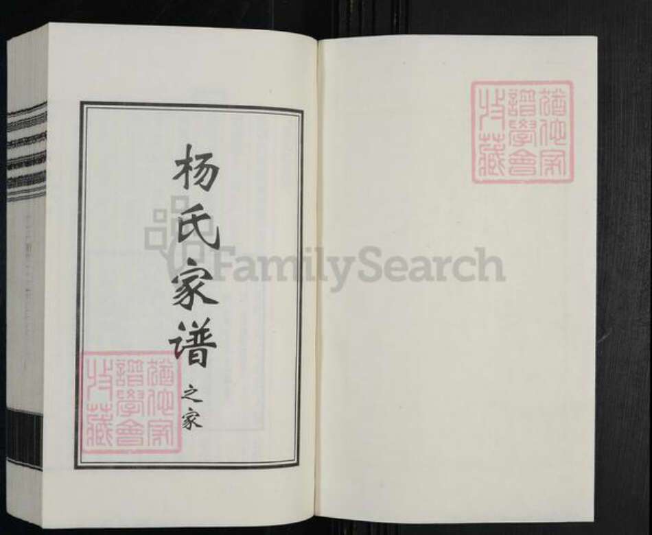 河北省沧州杨氏族谱-杨氏家谱.pdf电子版预览图1