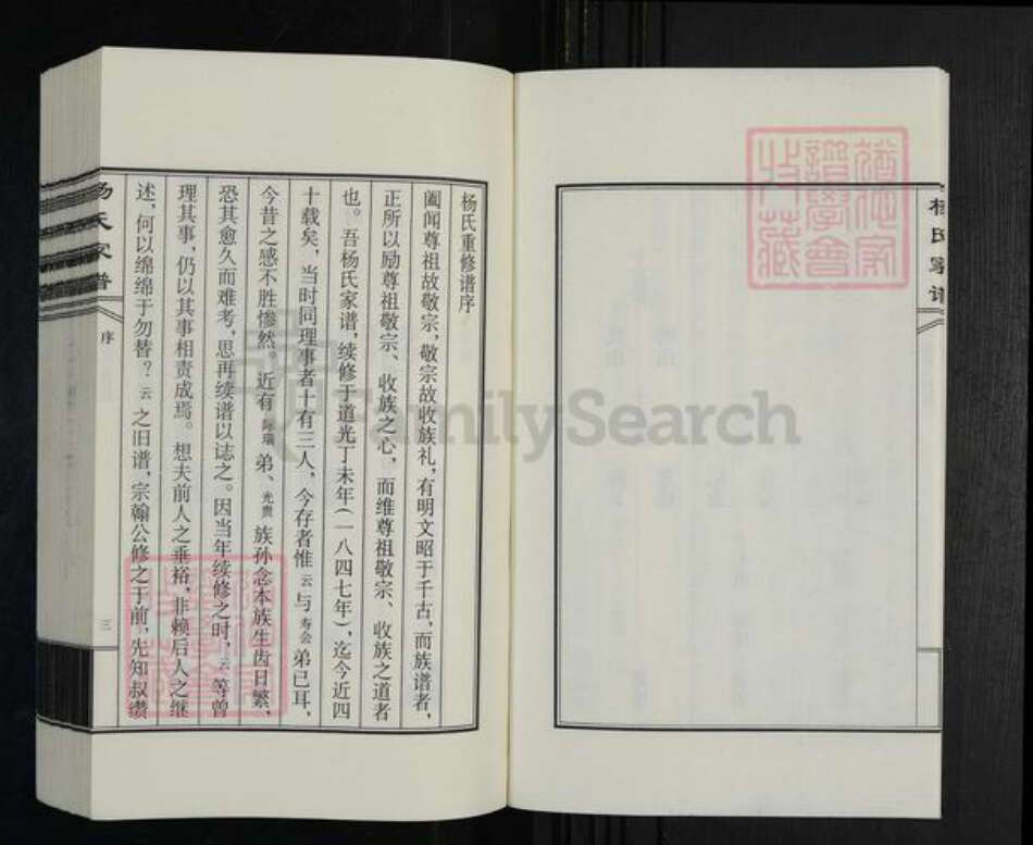 河北省沧州杨氏族谱-杨氏家谱.pdf电子版预览图4