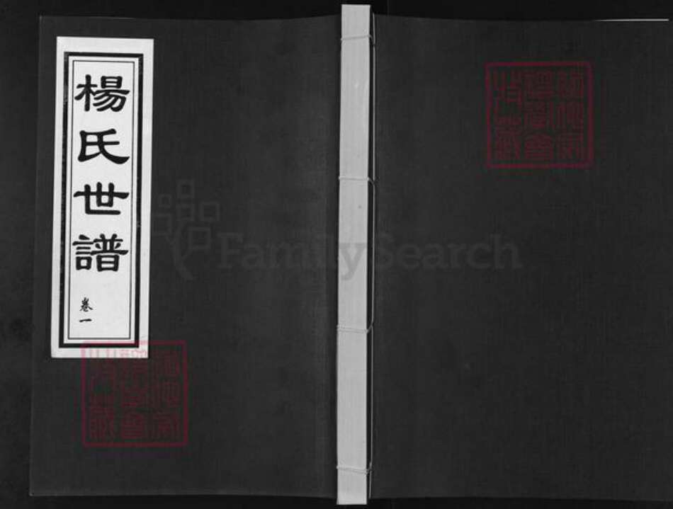 山东省德州市乐陵市杨氏族谱-杨氏世谱.pdf电子版缩略图