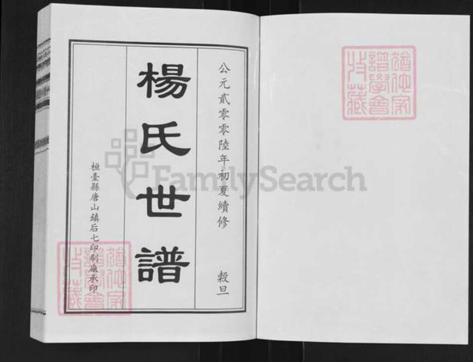 山东省德州市乐陵市杨氏族谱-杨氏世谱.pdf电子版预览图1