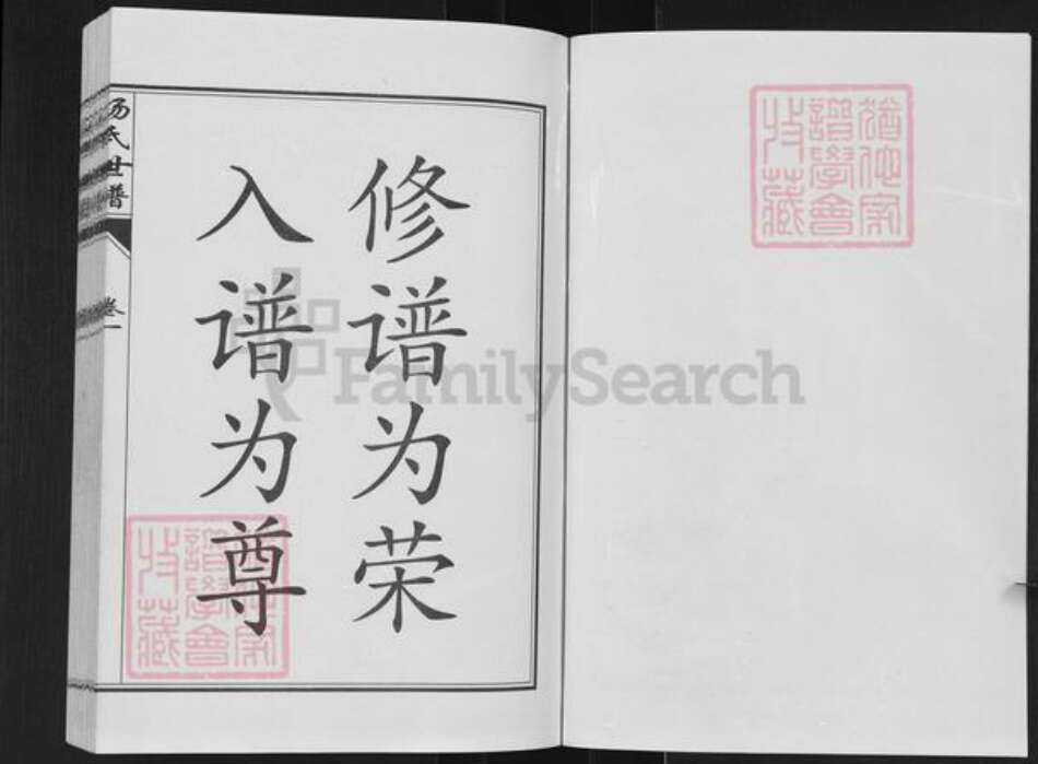 山东省德州市乐陵市杨氏族谱-杨氏世谱.pdf电子版预览图2