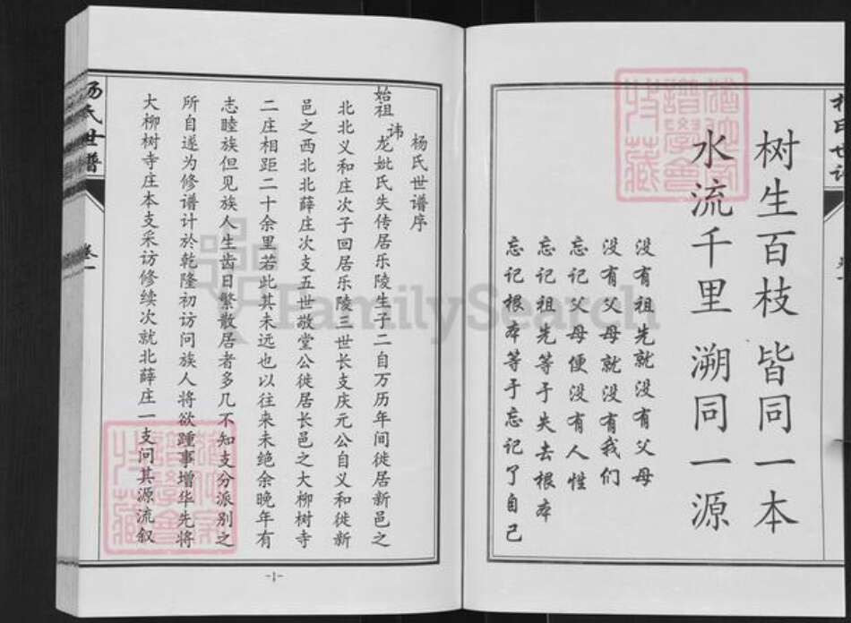 山东省德州市乐陵市杨氏族谱-杨氏世谱.pdf电子版预览图3