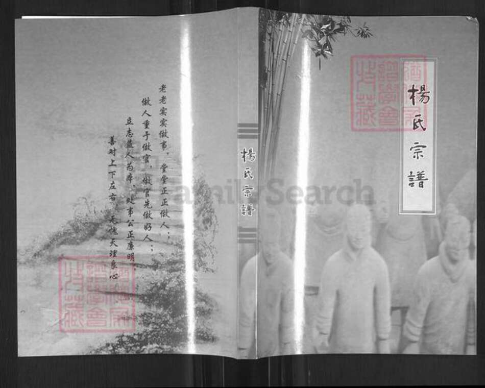 四川省南充市南部县杨氏族谱-杨氏宗谱.pdf电子版缩略图