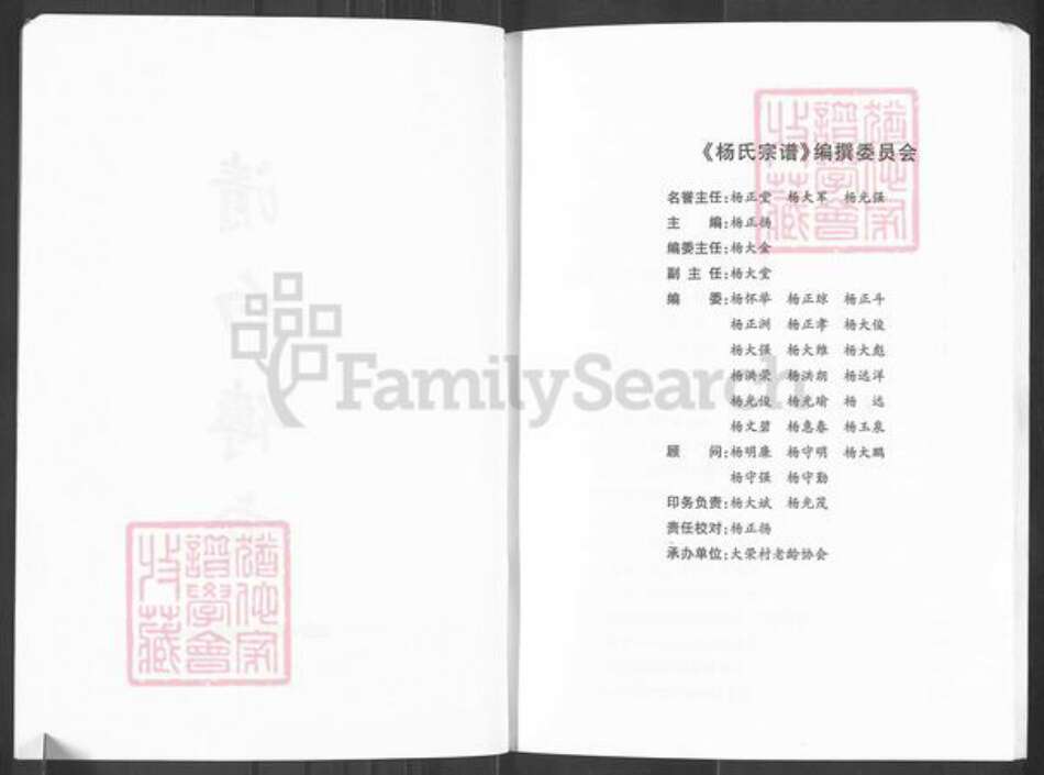 四川省南充市南部县杨氏族谱-杨氏宗谱.pdf电子版预览图3