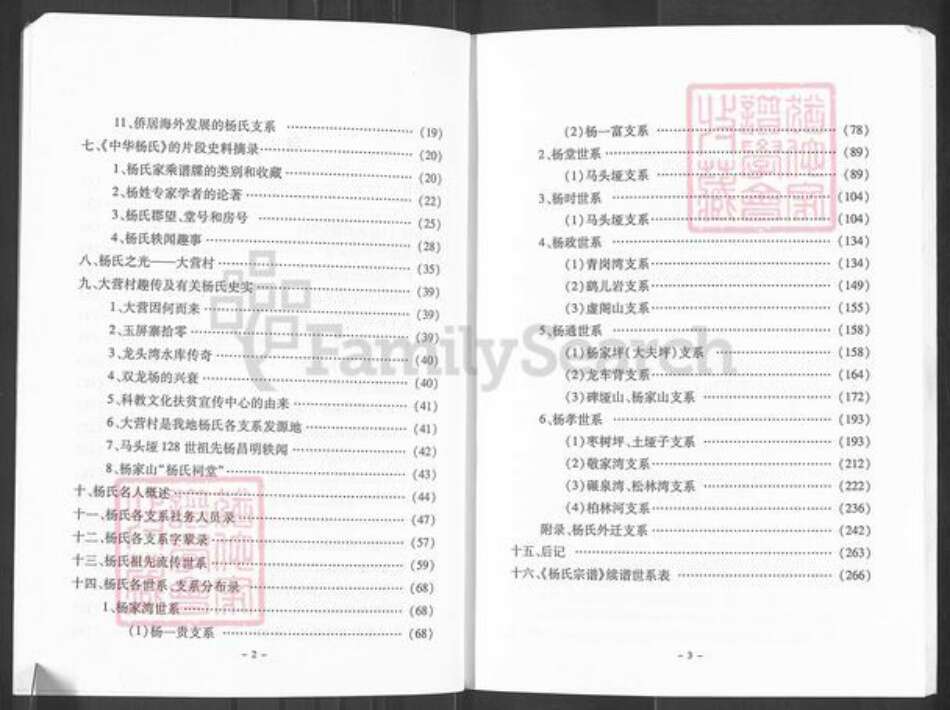 四川省南充市南部县杨氏族谱-杨氏宗谱.pdf电子版预览图5