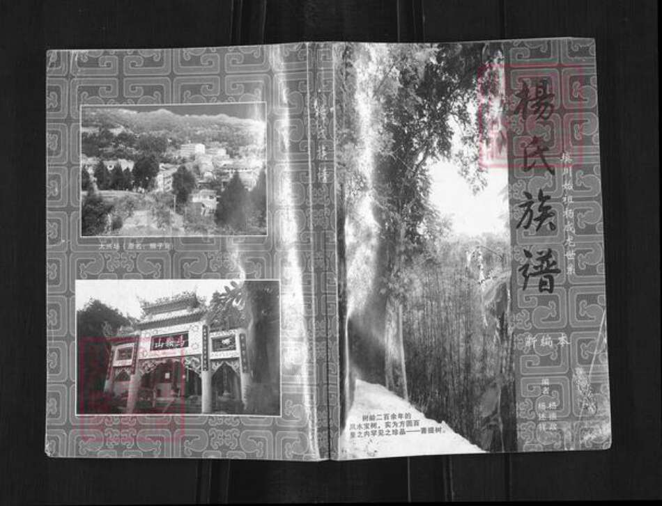 四川省南充市南部县三官镇杨氏族谱-杨氏族谱.填川始祖杨成龙世系.pdf电子版缩略图