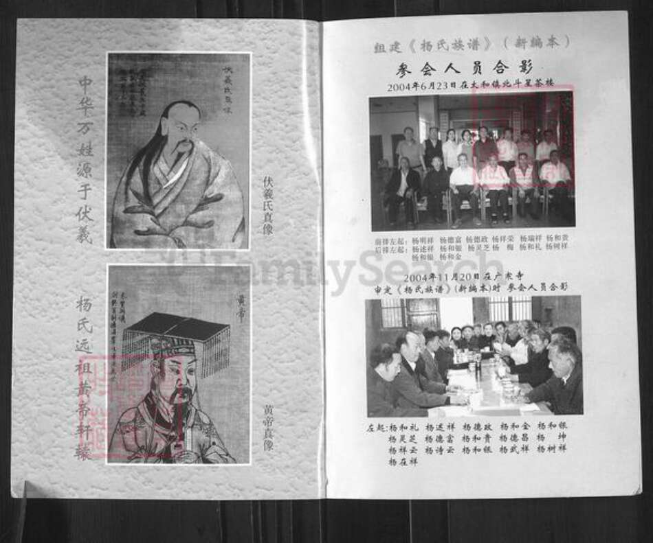 四川省南充市南部县三官镇杨氏族谱-杨氏族谱.填川始祖杨成龙世系.pdf电子版预览图1