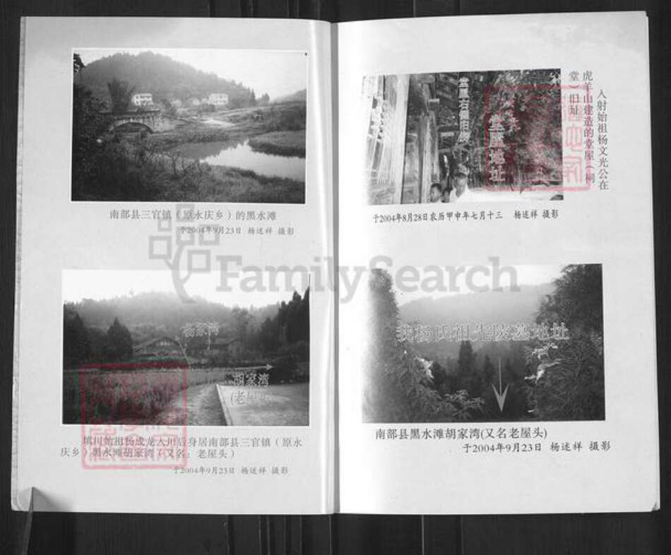 四川省南充市南部县三官镇杨氏族谱-杨氏族谱.填川始祖杨成龙世系.pdf电子版预览图2