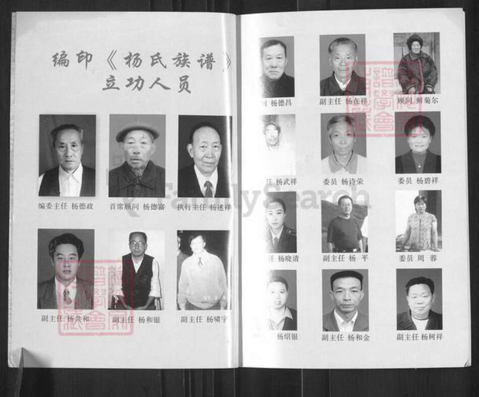 四川省南充市南部县三官镇杨氏族谱-杨氏族谱.填川始祖杨成龙世系.pdf电子版预览图3