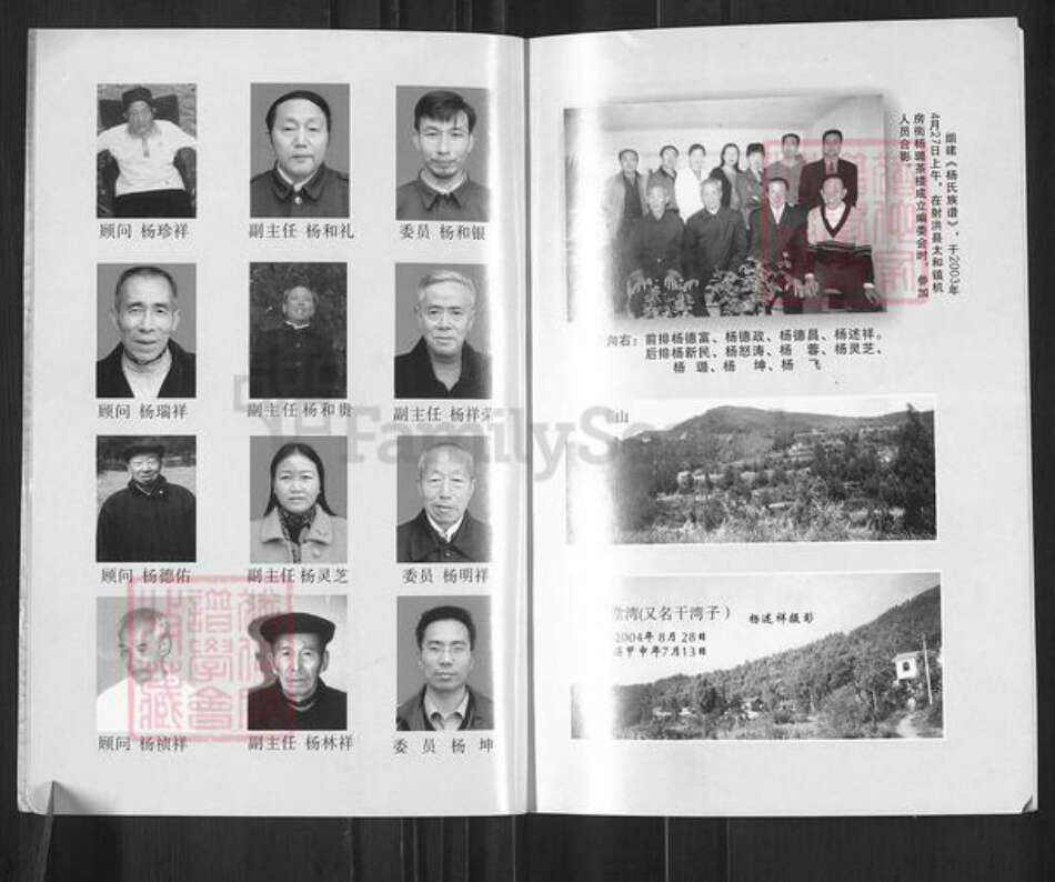 四川省南充市南部县三官镇杨氏族谱-杨氏族谱.填川始祖杨成龙世系.pdf电子版预览图4