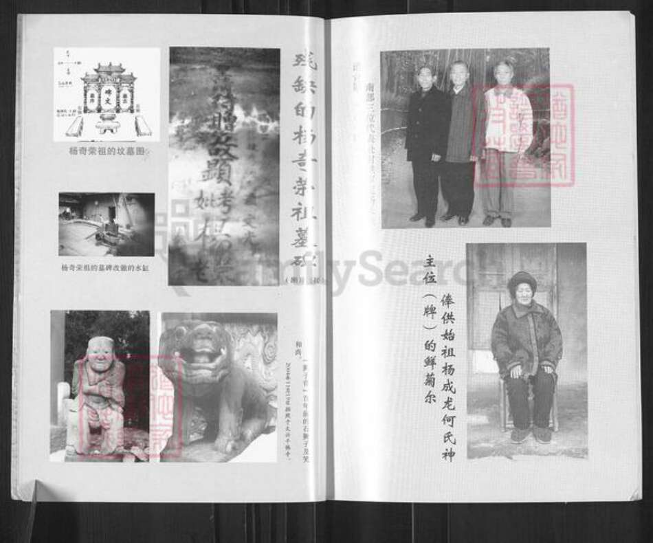 四川省南充市南部县三官镇杨氏族谱-杨氏族谱.填川始祖杨成龙世系.pdf电子版预览图5