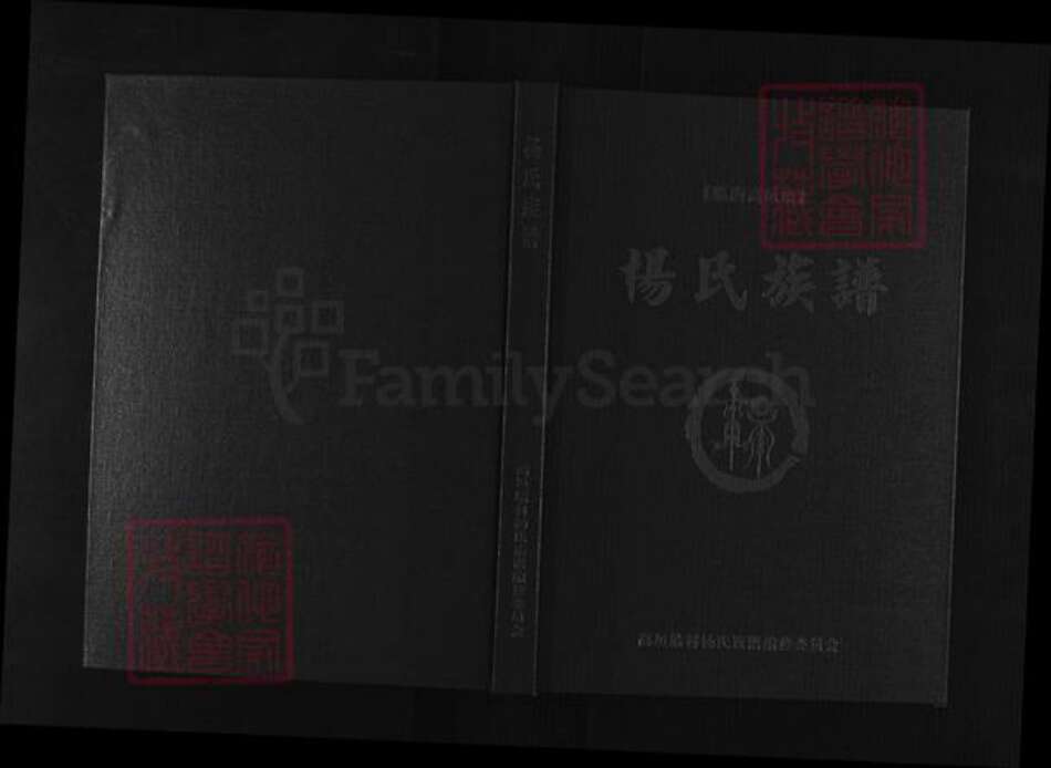 山东省潍坊市临朐县杨氏族谱-杨氏族谱.pdf电子版缩略图