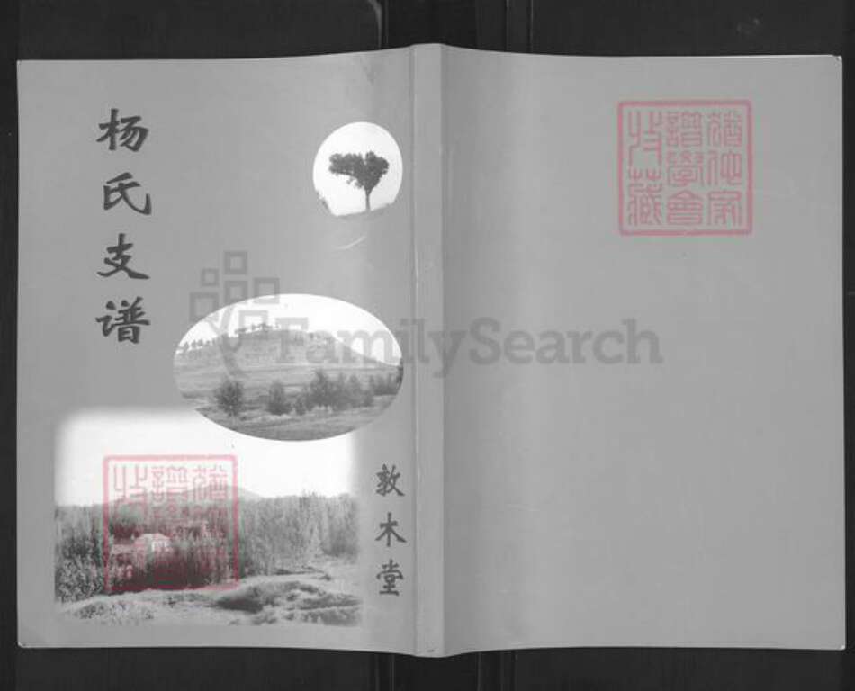 山东省泰安市宁阳县蒋集镇杨氏敦木堂族谱-杨氏支谱.pdf电子版缩略图