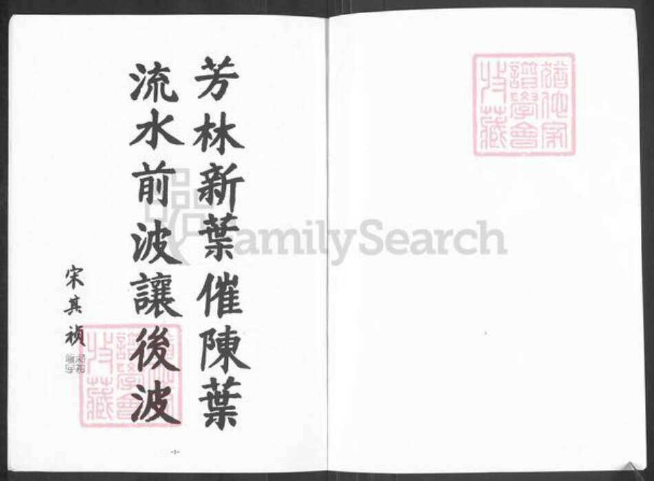 山东省泰安市宁阳县蒋集镇杨氏敦木堂族谱-杨氏支谱.pdf电子版预览图1