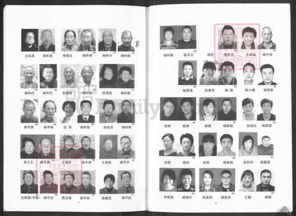 山东省泰安市宁阳县蒋集镇杨氏敦木堂族谱-杨氏支谱.pdf电子版预览图4