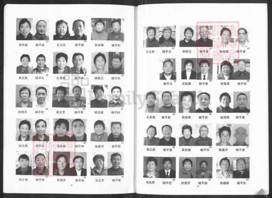 山东省泰安市宁阳县蒋集镇杨氏敦木堂族谱-杨氏支谱.pdf电子版预览图5