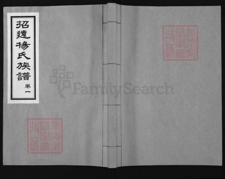 山东省烟台市招远市杨氏族谱-招远杨氏族谱.pdf电子版缩略图