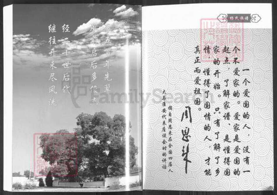 山西省忻州市原平市崞阳镇杨氏族谱-杨氏族谱.pdf电子版预览图2