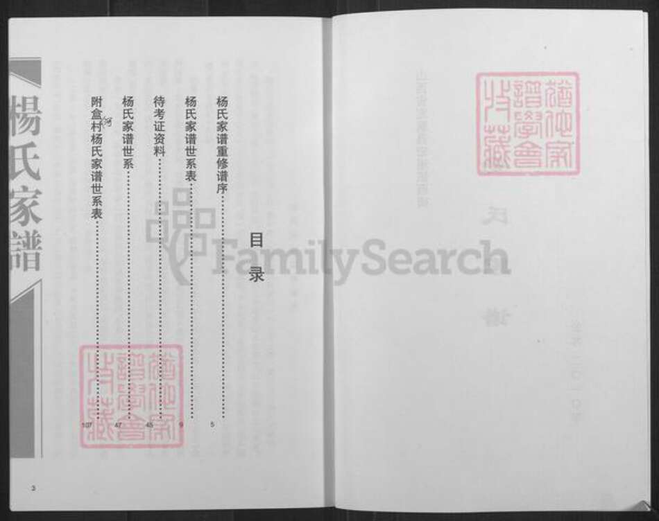 山西省忻州市定襄县宏道镇杨氏族谱-杨氏家谱.pdf电子版预览图2