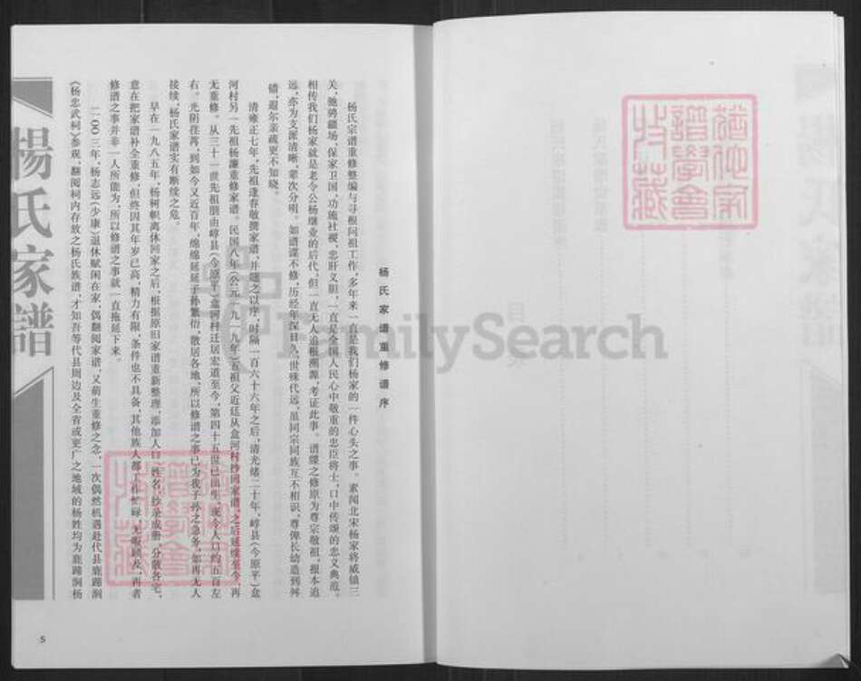 山西省忻州市定襄县宏道镇杨氏族谱-杨氏家谱.pdf电子版预览图3