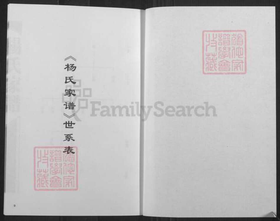 山西省忻州市定襄县宏道镇杨氏族谱-杨氏家谱.pdf电子版预览图5