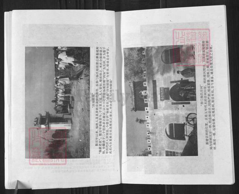 河南省南阳市唐河县源潭镇杨氏四知堂族谱-泗洲券门杨氏宗谱.pdf电子版预览图4