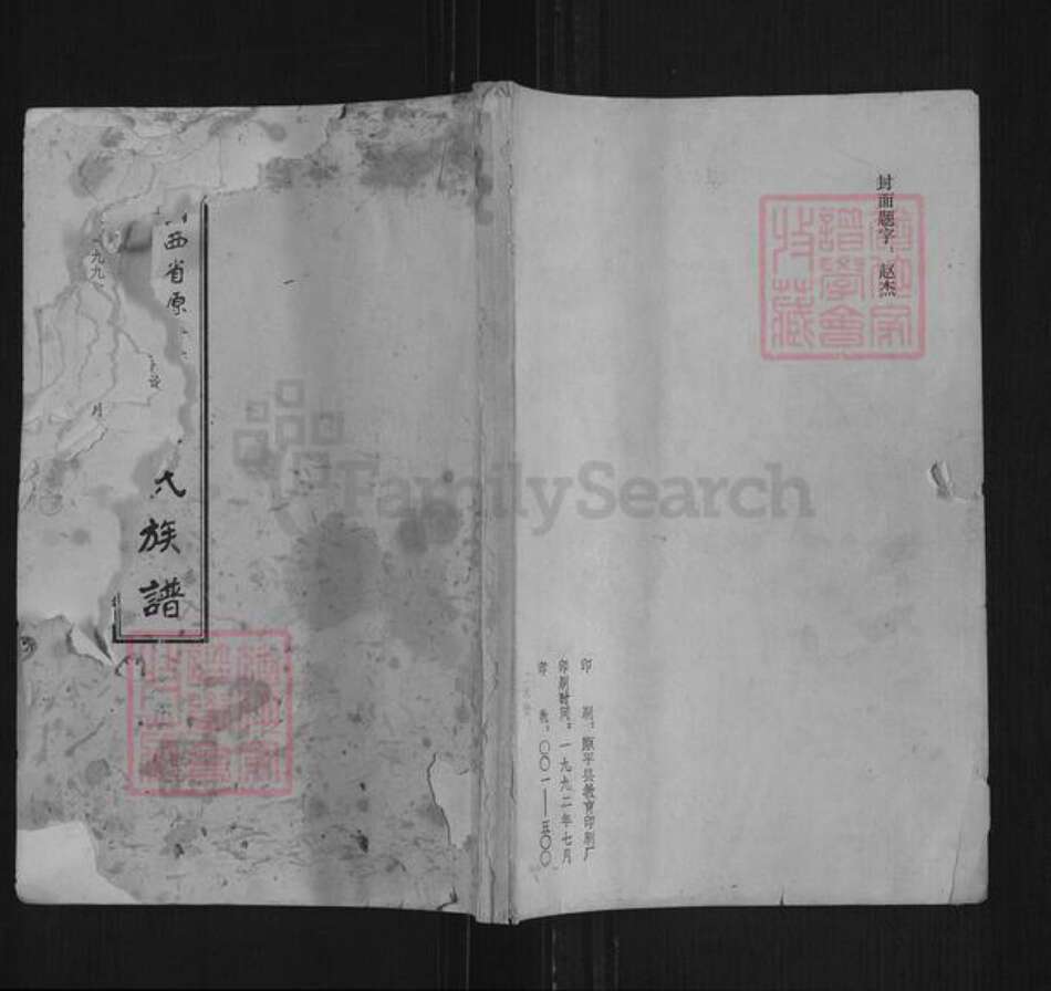 山西省忻州市原平市解村乡杨氏族谱-杨氏族谱.pdf电子版缩略图