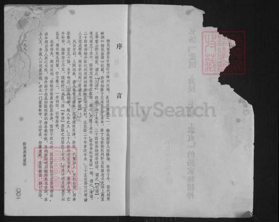 山西省忻州市原平市解村乡杨氏族谱-杨氏族谱.pdf电子版预览图2