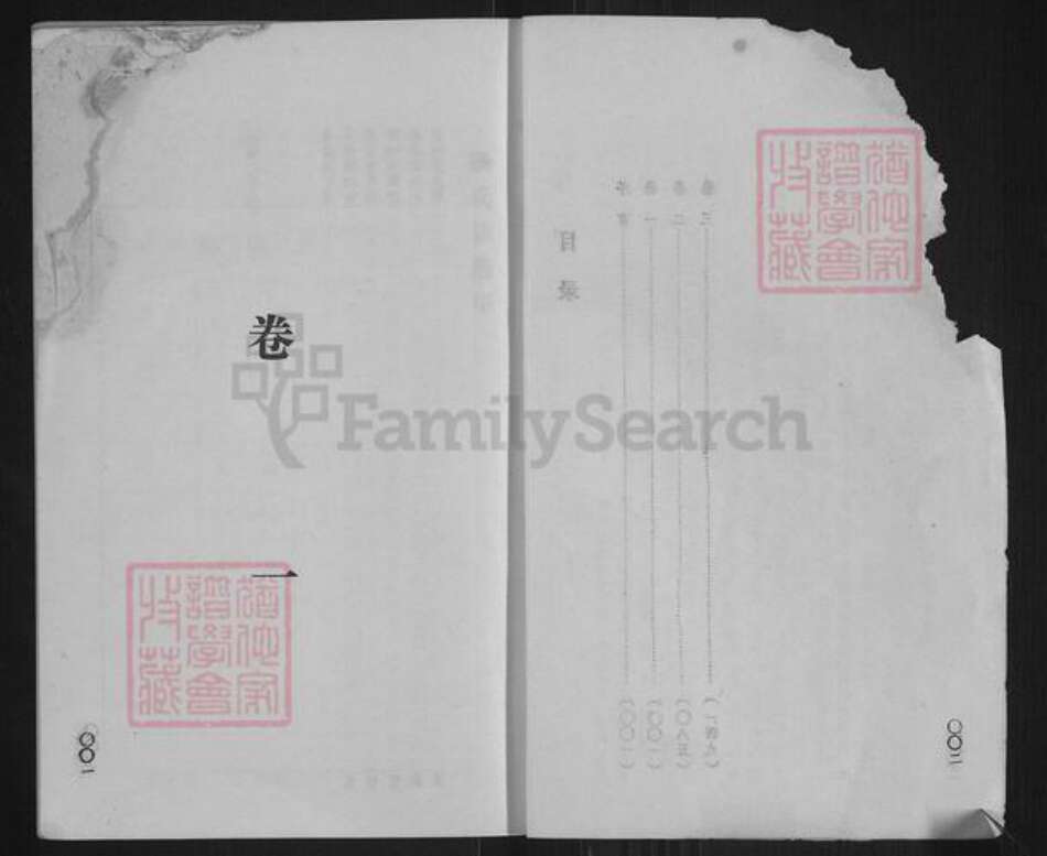 山西省忻州市原平市解村乡杨氏族谱-杨氏族谱.pdf电子版预览图4