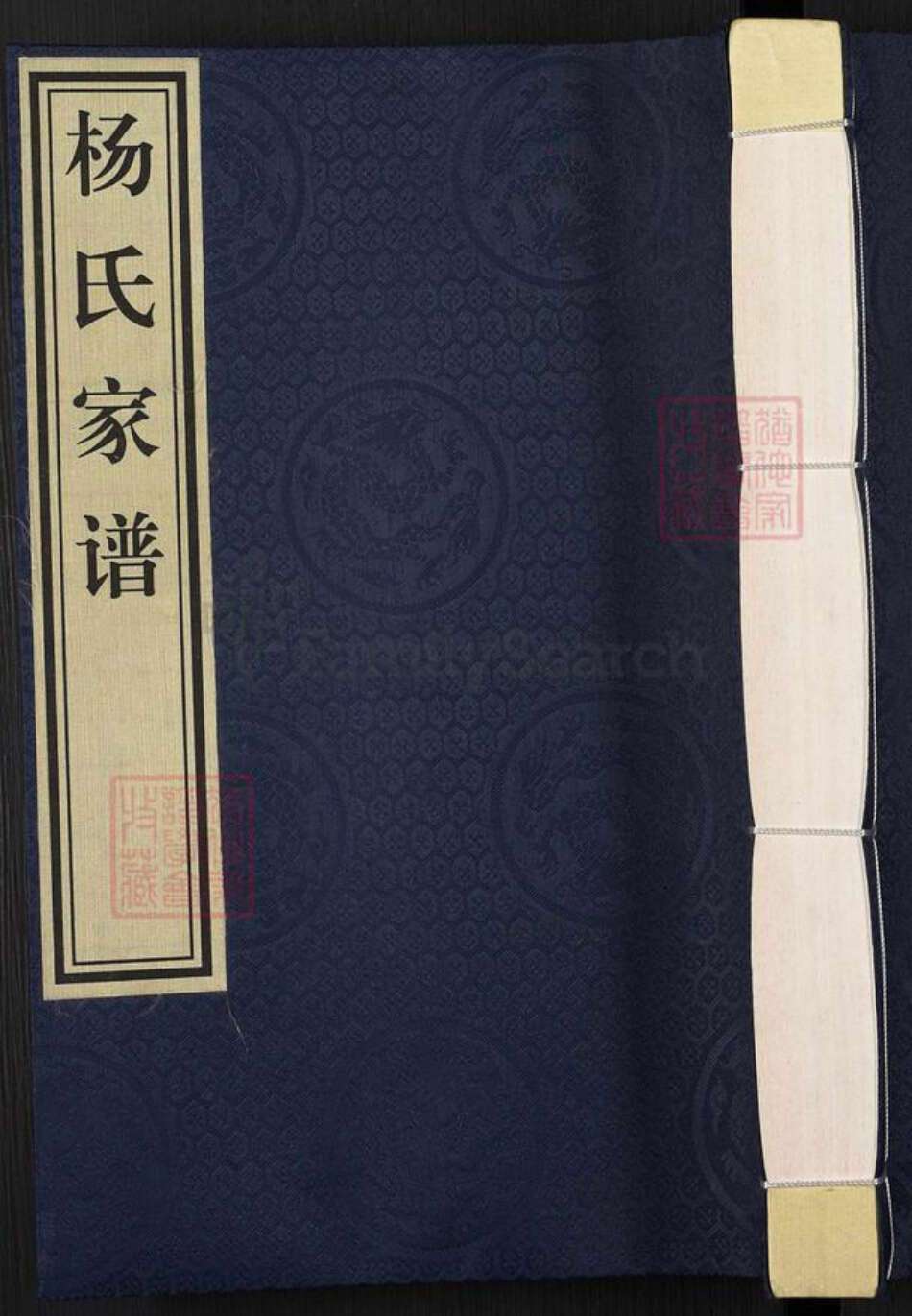 河北省沧州沧县汪家铺乡杨氏族谱-杨氏家谱.pdf电子版缩略图