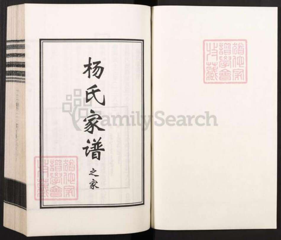 河北省沧州沧县汪家铺乡杨氏族谱-杨氏家谱.pdf电子版预览图1