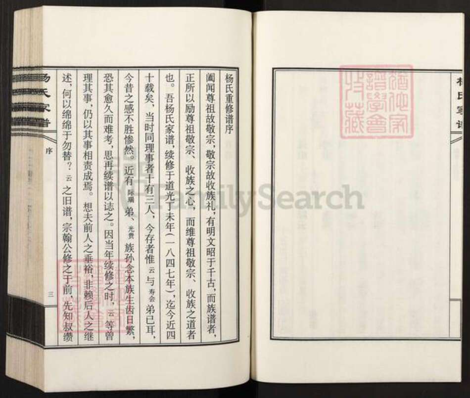 河北省沧州沧县汪家铺乡杨氏族谱-杨氏家谱.pdf电子版预览图4