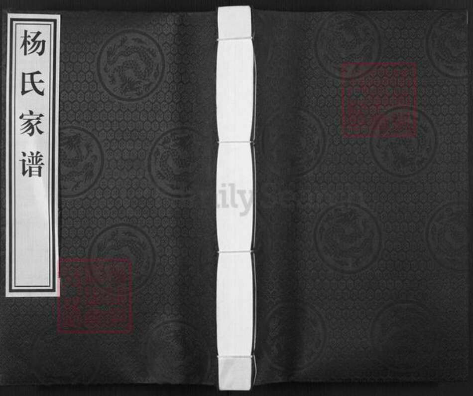 河北省沧州杨氏族谱-杨氏家谱.pdf电子版缩略图