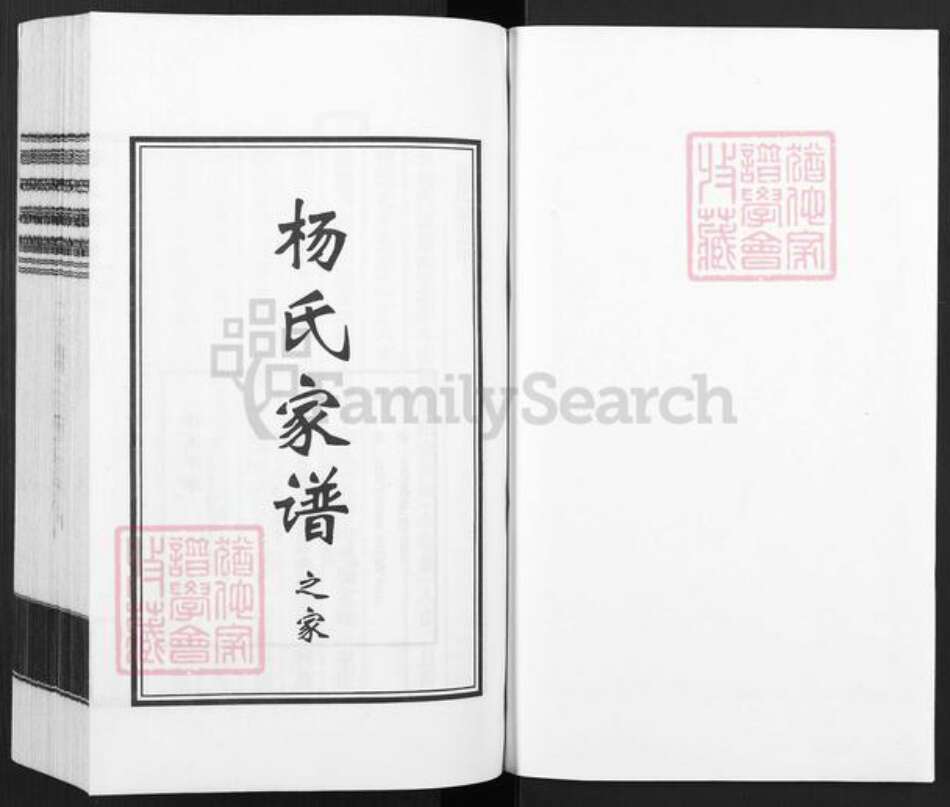 河北省沧州杨氏族谱-杨氏家谱.pdf电子版预览图1