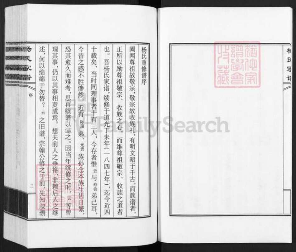 河北省沧州杨氏族谱-杨氏家谱.pdf电子版预览图4