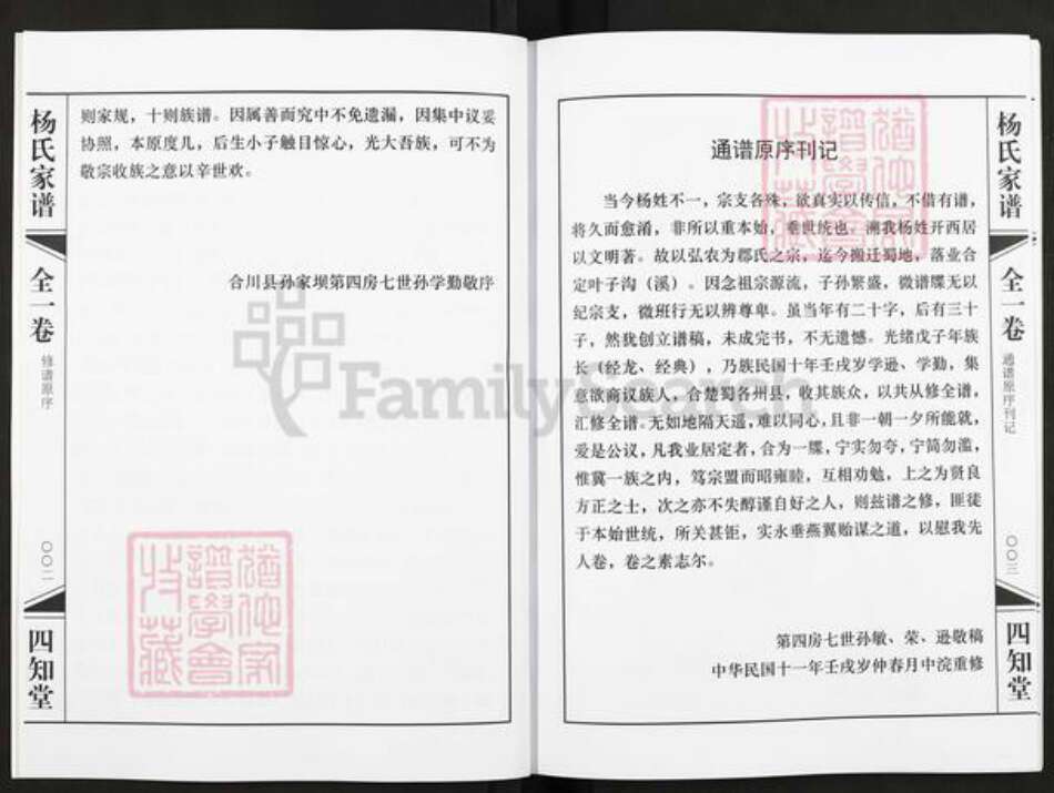 重庆市合川区合川杨氏四知堂族谱-杨氏家谱.pdf电子版预览图2