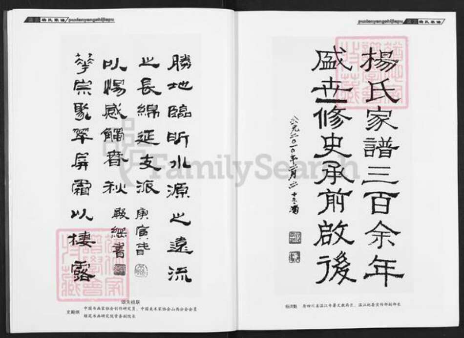 山西省临汾市蒲县红道乡杨氏族谱-蒲县杨氏家谱.pdf电子版预览图4