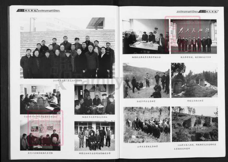 山西省临汾市蒲县红道乡杨氏族谱-蒲县杨氏家谱.pdf电子版预览图5