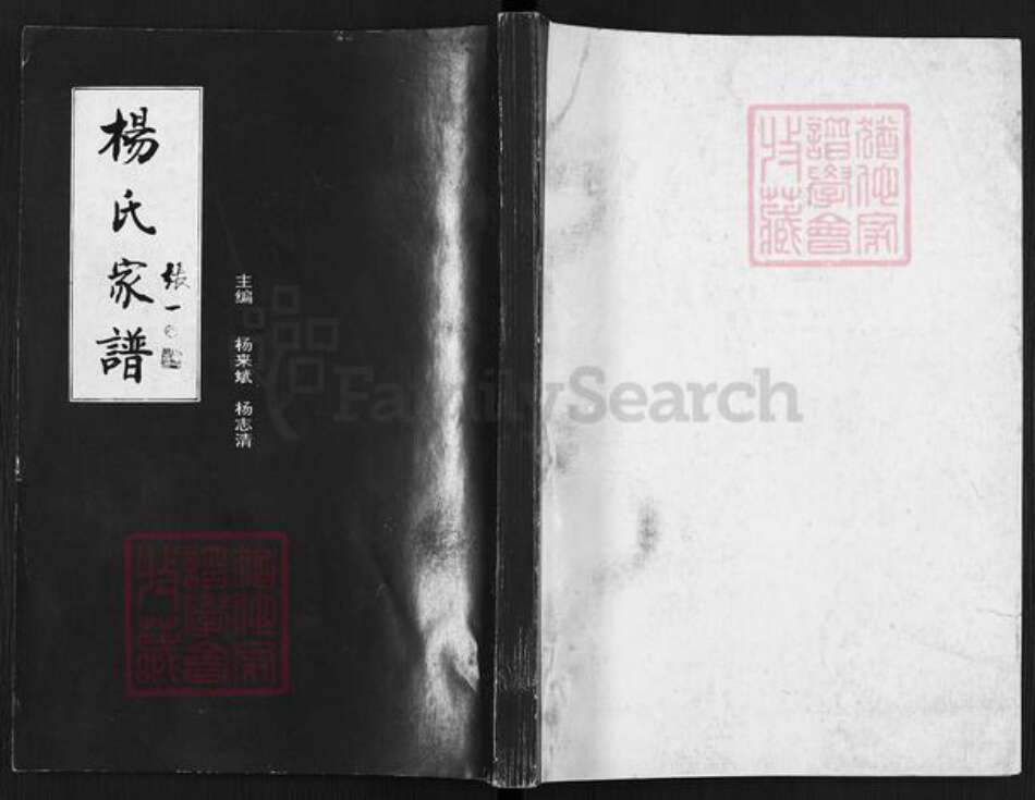 山西省临汾市乡宁县光华镇杨氏族谱-杨氏家谱.pdf电子版缩略图