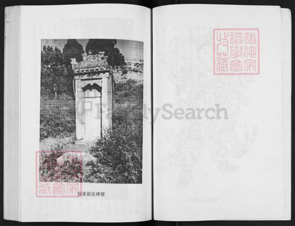 山西省临汾市乡宁县光华镇杨氏族谱-杨氏家谱.pdf电子版预览图3