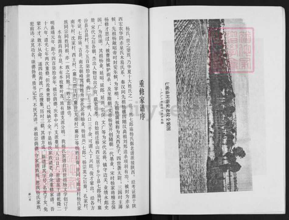 山西省临汾市乡宁县光华镇杨氏族谱-杨氏家谱.pdf电子版预览图4