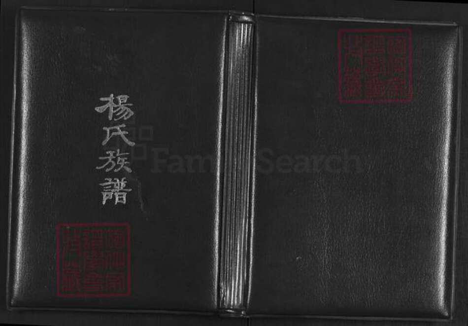 山西省太原市清徐县清源镇杨氏族谱-上阎村杨氏续修族谱.pdf电子版缩略图