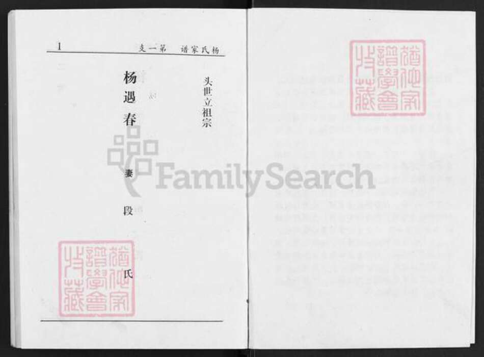 山西省太原市清徐县清源镇杨氏族谱-上阎村杨氏续修族谱.pdf电子版预览图5