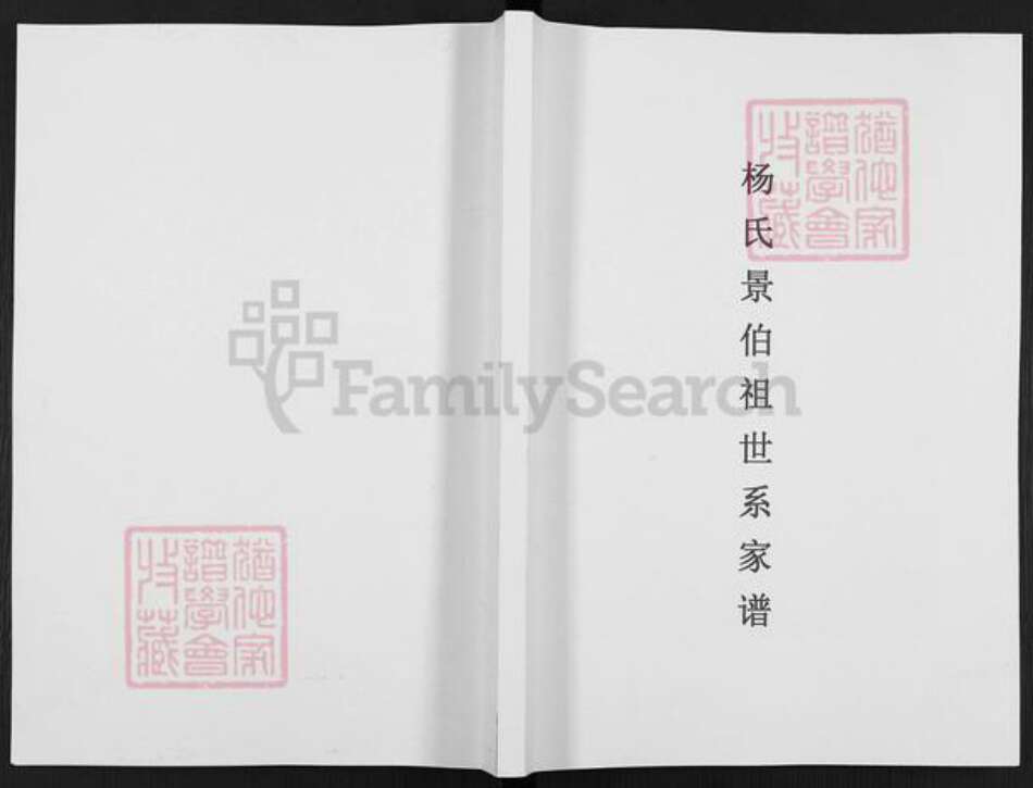 贵州省遵义市桐梓县茅石镇杨氏族谱-杨氏景伯祖世系家谱.pdf电子版缩略图