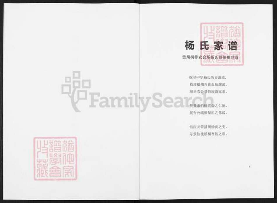 贵州省遵义市桐梓县茅石镇杨氏族谱-杨氏景伯祖世系家谱.pdf电子版预览图2