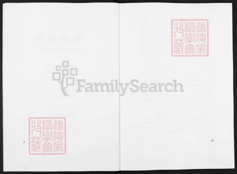 贵州省遵义市桐梓县茅石镇杨氏族谱-杨氏景伯祖世系家谱.pdf电子版预览图3