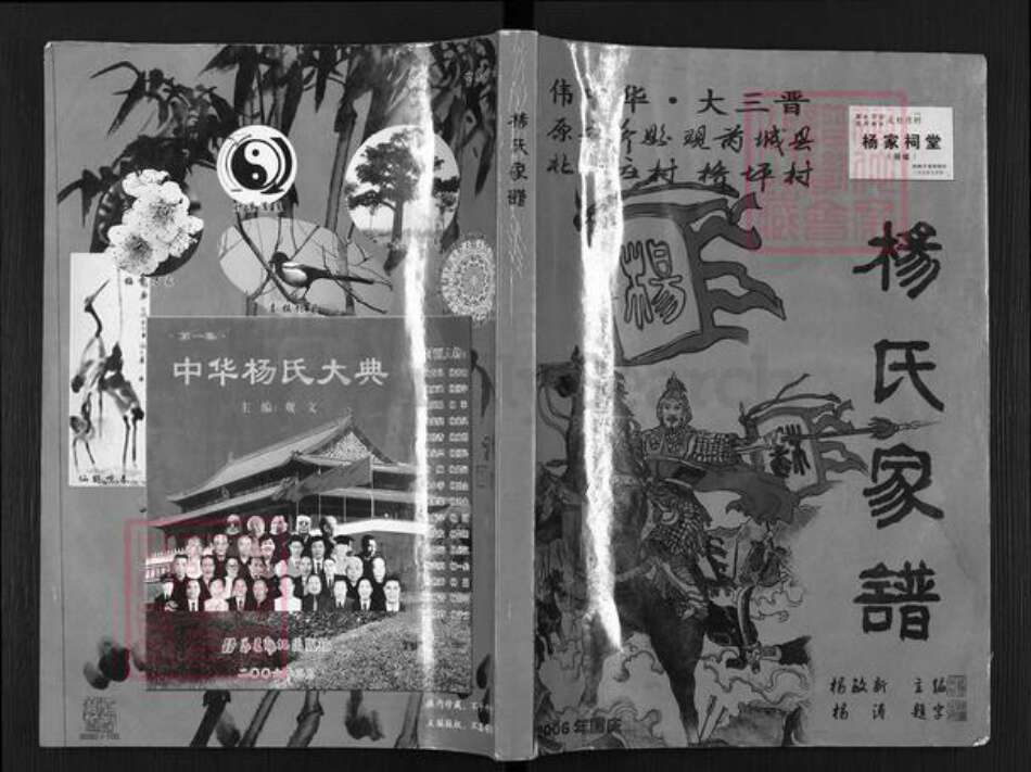 山西省运城市芮城县阳城镇杨氏族谱-杨氏家谱.pdf电子版缩略图